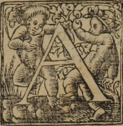 An illustration from Claudij Galeni Pergameni De temperamentis libri III : de inaequali intemperie liber I, 1545, leaf 65