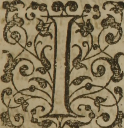 An illustration from The anatomy of melancholy : vvhat it is ; vvith all the kindes, causes, symptomes, prognosticks, and seuerall cures of it ; in three maine partitions, with their seuerall sections, members, and subsections ; philosophically, medicinally, historically opened and cut vp, 1624, leaf 268