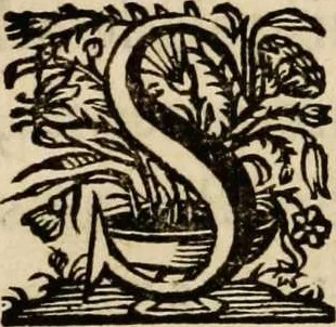An illustration from Sacrum sanctuarium crucis et patientiae crucifixorum et cruciferorum, emblematicis imaginibus laborantium et aegrotantium ornatum: artifices gloriosi nouae artis bene viuendi et moriendi secundum rationem regulae et circini, 1634, leaf 135