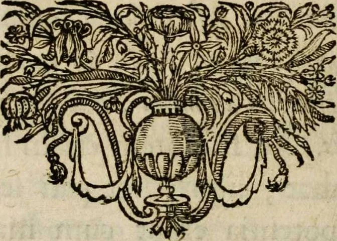 An illustration from Sacrum sanctuarium crucis et patientiae crucifixorum et cruciferorum, emblematicis imaginibus laborantium et aegrotantium ornatum: artifices gloriosi nouae artis bene viuendi et moriendi secundum rationem regulae et circini, 1634, leaf 142