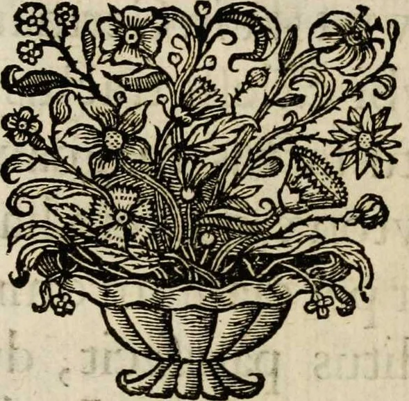 An illustration from Sacrum sanctuarium crucis et patientiae crucifixorum et cruciferorum, emblematicis imaginibus laborantium et aegrotantium ornatum: artifices gloriosi nouae artis bene viuendi et moriendi secundum rationem regulae et circini, 1634, leaf 16