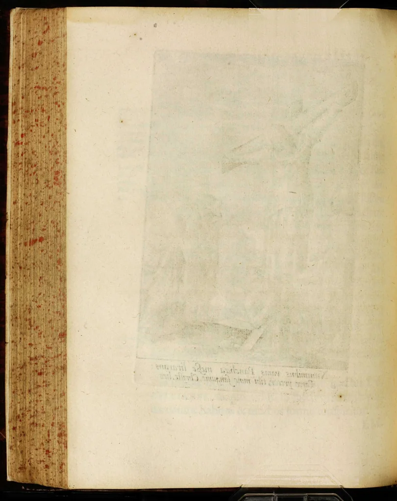 An illustration from Sacrum sanctuarium crucis et patientiae crucifixorum et cruciferorum, emblematicis imaginibus laborantium et aegrotantium ornatum: artifices gloriosi nouae artis bene viuendi et moriendi secundum rationem regulae et circini, 1634, leaf 290