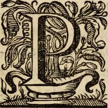 An illustration from Sacrum sanctuarium crucis et patientiae crucifixorum et cruciferorum, emblematicis imaginibus laborantium et aegrotantium ornatum: artifices gloriosi nouae artis bene viuendi et moriendi secundum rationem regulae et circini, 1634, leaf 35