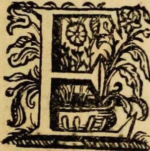 An illustration from Sacrum sanctuarium crucis et patientiae crucifixorum et cruciferorum, emblematicis imaginibus laborantium et aegrotantium ornatum: artifices gloriosi nouae artis bene viuendi et moriendi secundum rationem regulae et circini, 1634, leaf 671