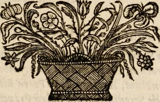 An illustration from Sacrum sanctuarium crucis et patientiae crucifixorum et cruciferorum, emblematicis imaginibus laborantium et aegrotantium ornatum: artifices gloriosi nouae artis bene viuendi et moriendi secundum rationem regulae et circini, 1634, leaf 717