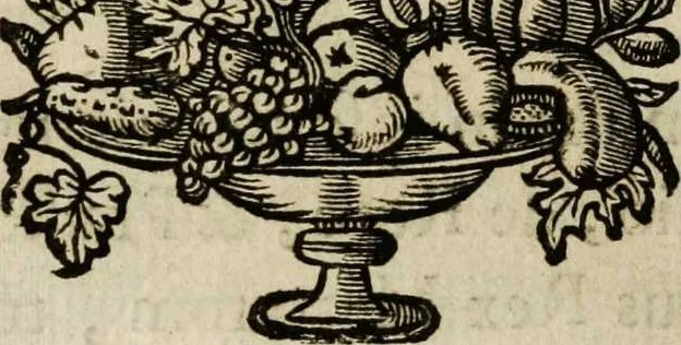An illustration from Sacrum sanctuarium crucis et patientiae crucifixorum et cruciferorum, emblematicis imaginibus laborantium et aegrotantium ornatum: artifices gloriosi nouae artis bene viuendi et moriendi secundum rationem regulae et circini, 1634, leaf 78