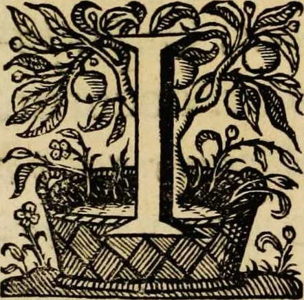An illustration from Sacrum sanctuarium crucis et patientiae crucifixorum et cruciferorum, emblematicis imaginibus laborantium et aegrotantium ornatum: artifices gloriosi nouae artis bene viuendi et moriendi secundum rationem regulae et circini, 1634, leaf 9