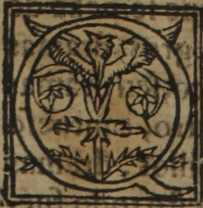 An illustration from Verdadera medicina, cirugia, y astrologia : en tres libros dividida, 1607, leaf 144