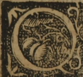 An illustration from Verdadera medicina, cirugia, y astrologia : en tres libros dividida, 1607, leaf 152