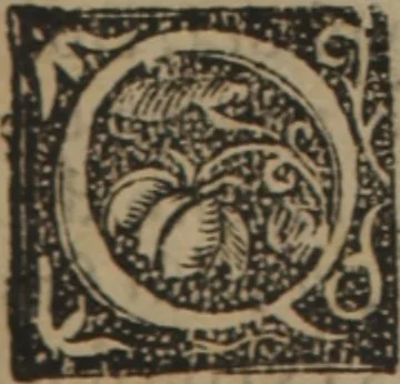 An illustration from Verdadera medicina, cirugia, y astrologia : en tres libros dividida, 1607, leaf 154