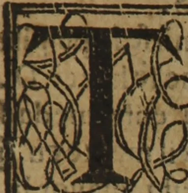 An illustration from Verdadera medicina, cirugia, y astrologia : en tres libros dividida, 1607, leaf 157