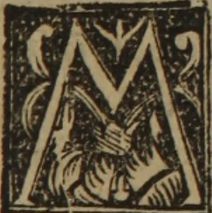 An illustration from Verdadera medicina, cirugia, y astrologia : en tres libros dividida, 1607, leaf 167