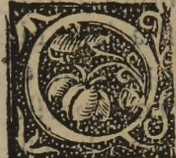An illustration from Verdadera medicina, cirugia, y astrologia : en tres libros dividida, 1607, leaf 179