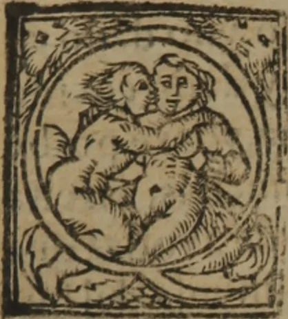 An illustration from Verdadera medicina, cirugia, y astrologia : en tres libros dividida, 1607, leaf 240
