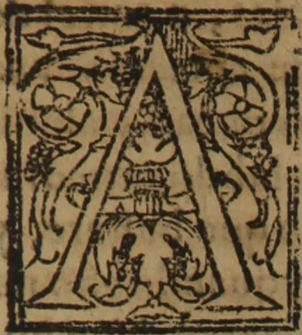 An illustration from Verdadera medicina, cirugia, y astrologia : en tres libros dividida, 1607, leaf 265