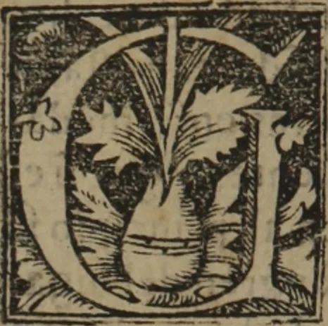 An illustration from Verdadera medicina, cirugia, y astrologia : en tres libros dividida, 1607, leaf 276