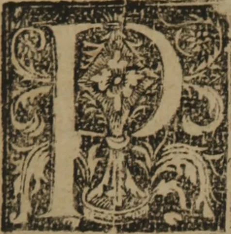 An illustration from Verdadera medicina, cirugia, y astrologia : en tres libros dividida, 1607, leaf 284