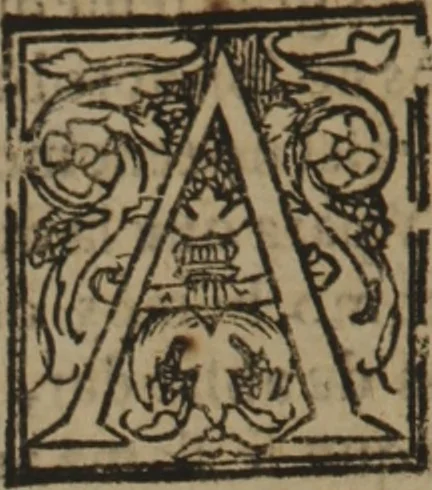 An illustration from Verdadera medicina, cirugia, y astrologia : en tres libros dividida, 1607, leaf 290