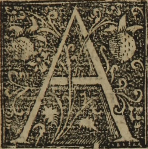 An illustration from Verdadera medicina, cirugia, y astrologia : en tres libros dividida, 1607, leaf 305