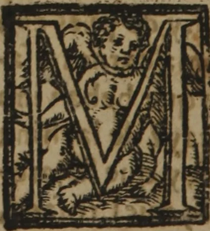 An illustration from Verdadera medicina, cirugia, y astrologia : en tres libros dividida, 1607, leaf 330