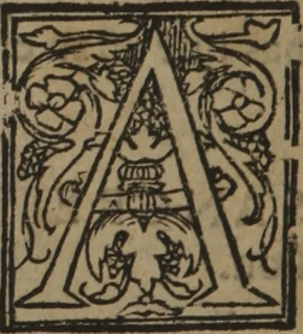 An illustration from Verdadera medicina, cirugia, y astrologia : en tres libros dividida, 1607, leaf 348
