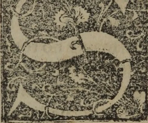 An illustration from Verdadera medicina, cirugia, y astrologia : en tres libros dividida, 1607, leaf 381