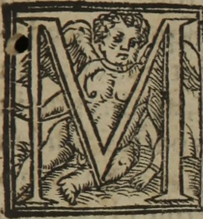 An illustration from Verdadera medicina, cirugia, y astrologia : en tres libros dividida, 1607, leaf 389