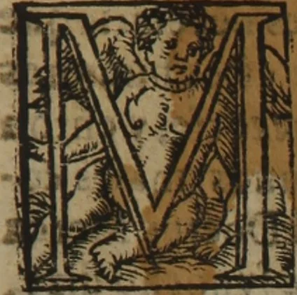 An illustration from Verdadera medicina, cirugia, y astrologia : en tres libros dividida, 1607, leaf 401