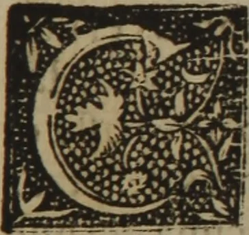 An illustration from Verdadera medicina, cirugia, y astrologia : en tres libros dividida, 1607, leaf 53