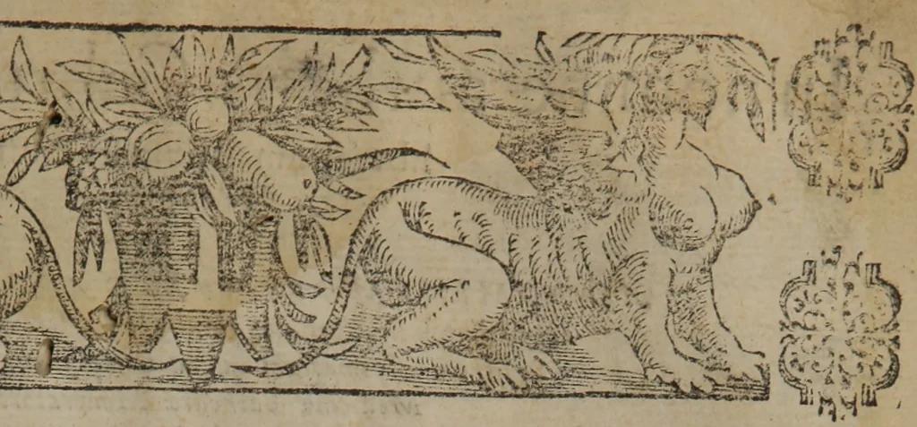 An illustration from Verdadera medicina, cirugia, y astrologia : en tres libros dividida, 1607, leaf 571