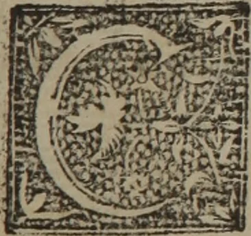 An illustration from Verdadera medicina, cirugia, y astrologia : en tres libros dividida, 1607, leaf 571
