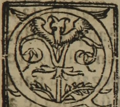 An illustration from Verdadera medicina, cirugia, y astrologia : en tres libros dividida, 1607, leaf 573