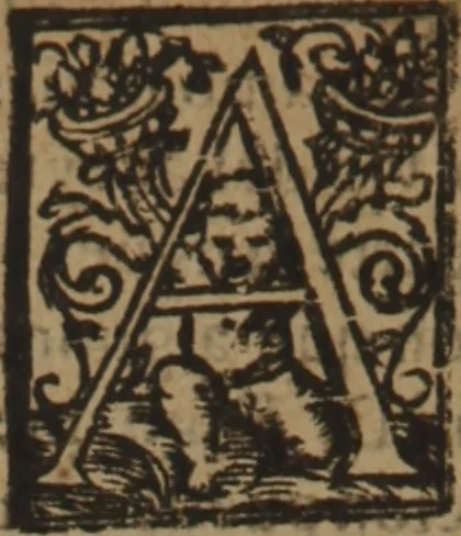 An illustration from Verdadera medicina, cirugia, y astrologia : en tres libros dividida, 1607, leaf 66