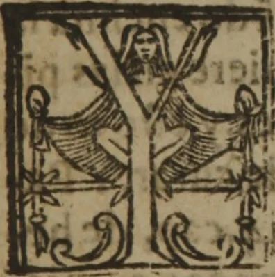 An illustration from Verdadera medicina, cirugia, y astrologia : en tres libros dividida, 1607, leaf 74