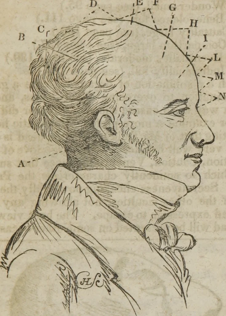 An illustration from Manual of phrenology, or The physiology of the human brain : embracing a full description of the phrenological organs, their exact location, and the peculiarities of character produced by their various degrees of development and combination, 1839, leaf 154