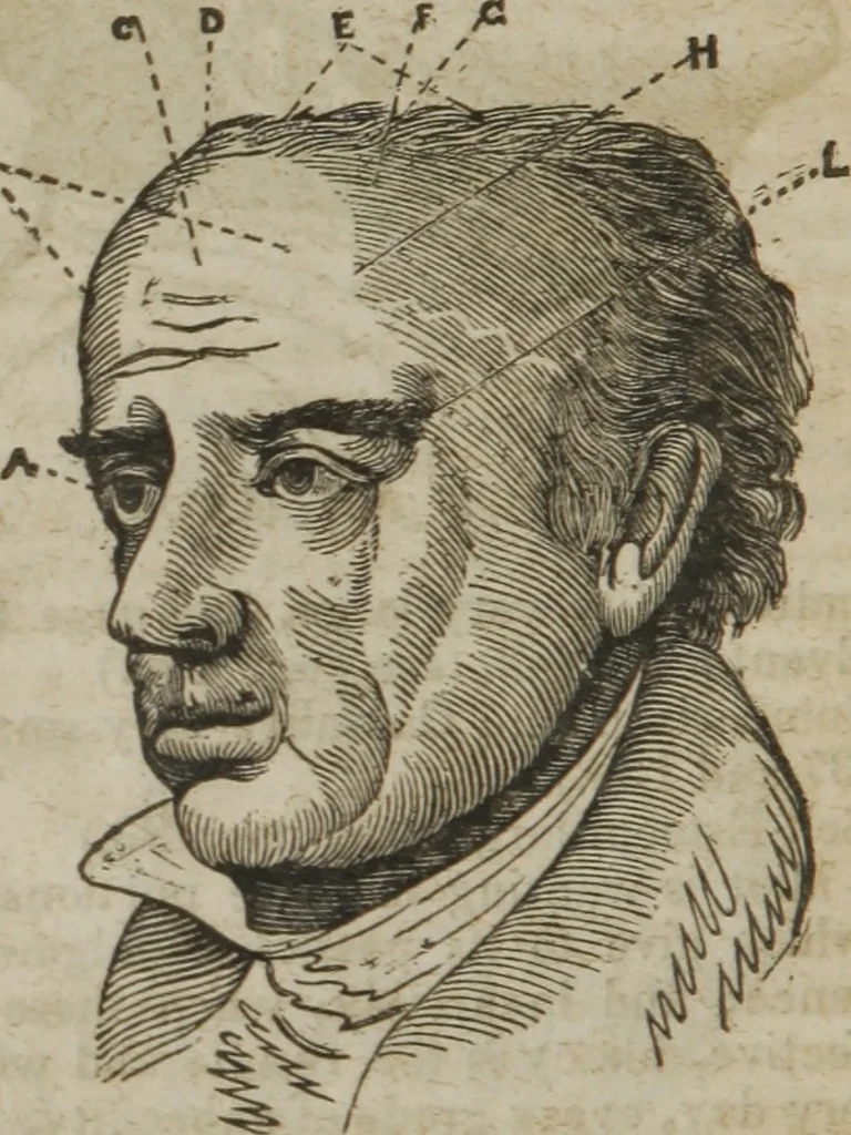 An illustration from Manual of phrenology, or The physiology of the human brain : embracing a full description of the phrenological organs, their exact location, and the peculiarities of character produced by their various degrees of development and combination, 1839, leaf 157