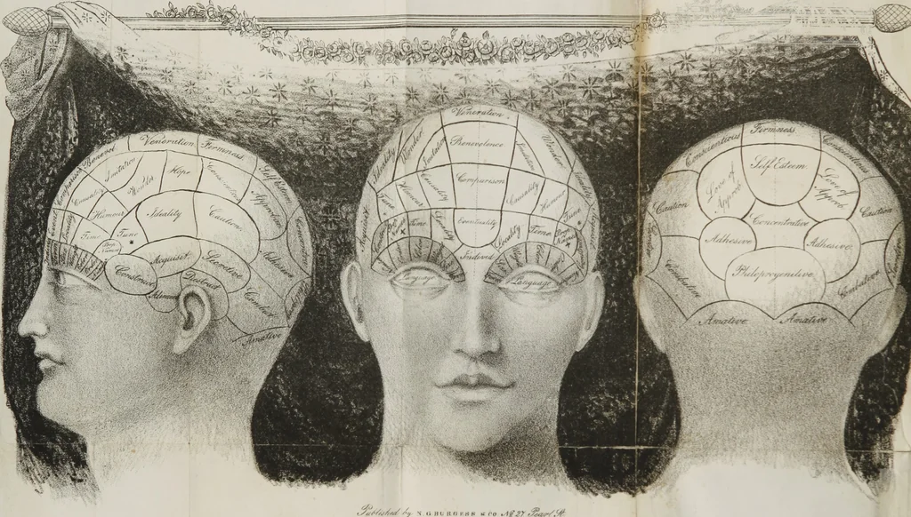 An illustration from Manual of phrenology, or The physiology of the human brain : embracing a full description of the phrenological organs, their exact location, and the peculiarities of character produced by their various degrees of development and combination, 1839, leaf 3