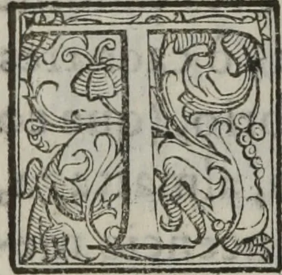 An illustration from Tratado breve de medicina y de todas las enfermedades :, 1610, leaf 149