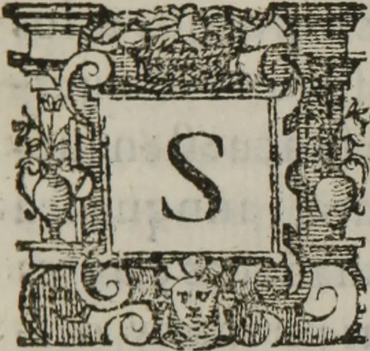 An illustration from Tratado breve de medicina y de todas las enfermedades :, 1610, leaf 206