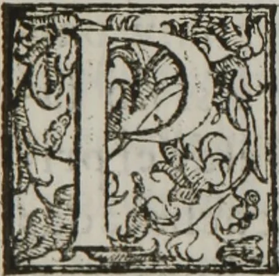 An illustration from Tratado breve de medicina y de todas las enfermedades :, 1610, leaf 216