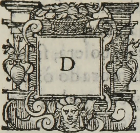 An illustration from Tratado breve de medicina y de todas las enfermedades :, 1610, leaf 24