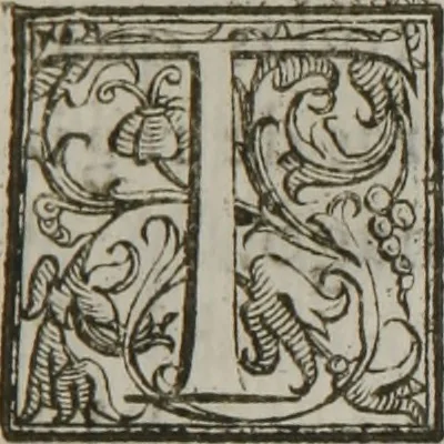 An illustration from Tratado breve de medicina y de todas las enfermedades :, 1610, leaf 244