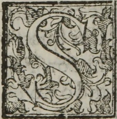 An illustration from Tratado breve de medicina y de todas las enfermedades :, 1610, leaf 253