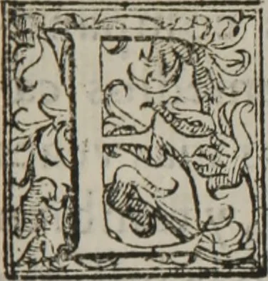 An illustration from Tratado breve de medicina y de todas las enfermedades :, 1610, leaf 270