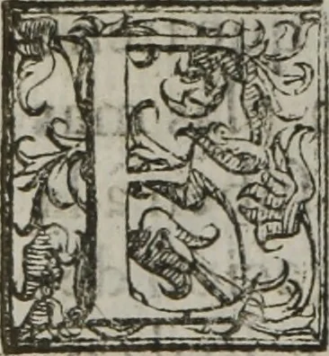 An illustration from Tratado breve de medicina y de todas las enfermedades :, 1610, leaf 287