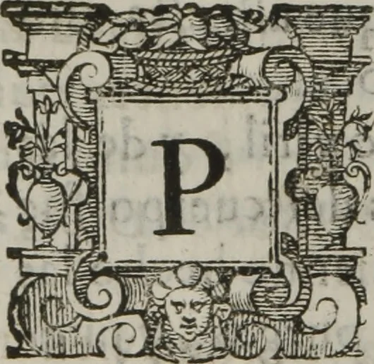 An illustration from Tratado breve de medicina y de todas las enfermedades :, 1610, leaf 329