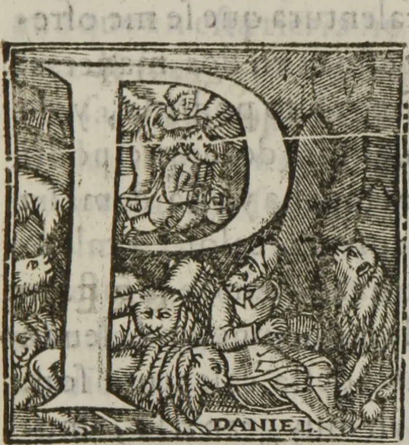 An illustration from Tratado breve de medicina y de todas las enfermedades :, 1610, leaf 356