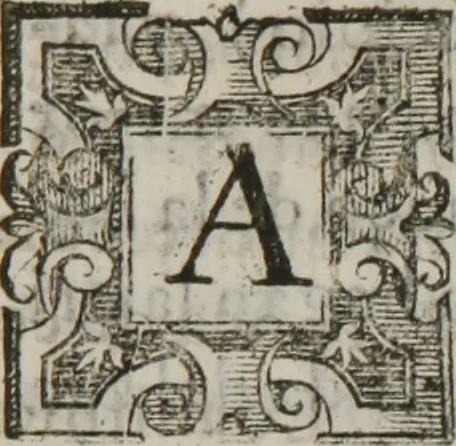An illustration from Tratado breve de medicina y de todas las enfermedades :, 1610, leaf 444