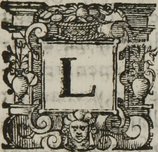 An illustration from Tratado breve de medicina y de todas las enfermedades :, 1610, leaf 468
