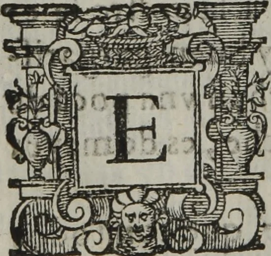 An illustration from Tratado breve de medicina y de todas las enfermedades :, 1610, leaf 49